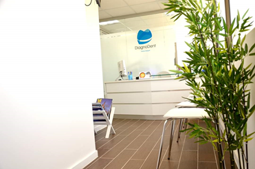 Imagen de la clínica dental, que muestran un mesón de atención a publico color blanco, el logo de Diagnodent de fondo, 2 sillas blanca, 1 mesa color blanco, una planta, piso color granate y muralla color blanco.