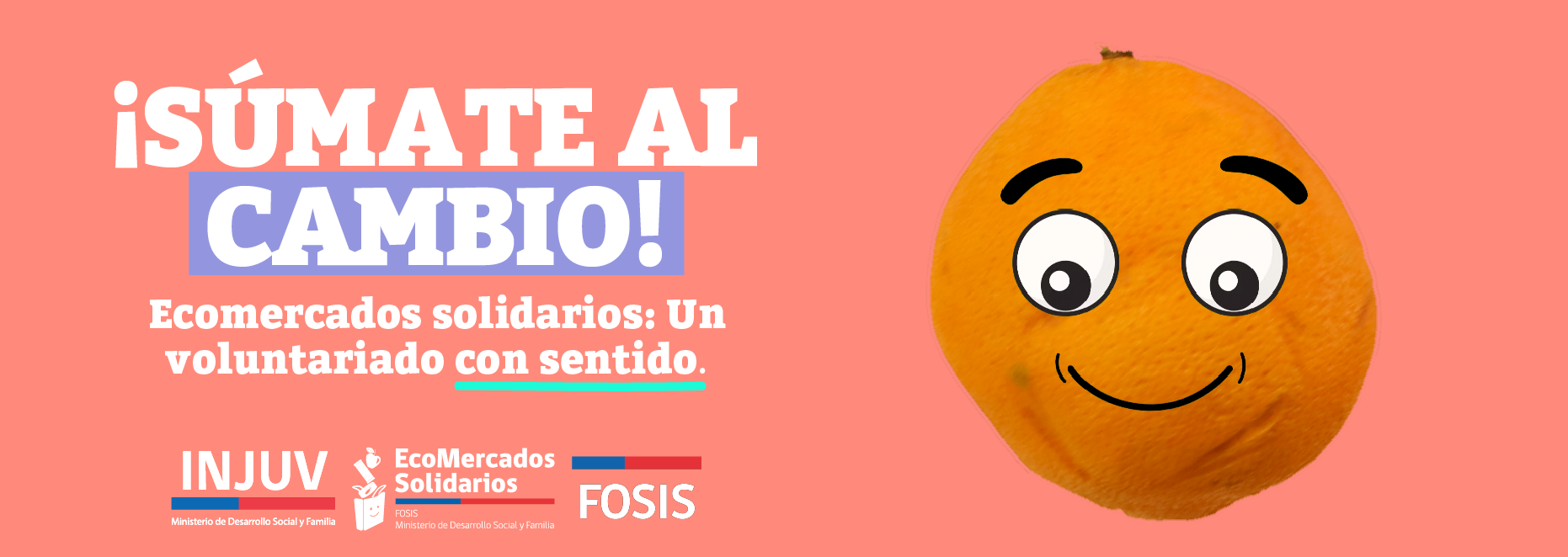 EcoMercados Solidarios - Orangin