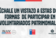 VOLUNTARIADO_PATRIMONIAL