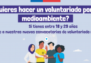 VOLUNTARIADO_2022