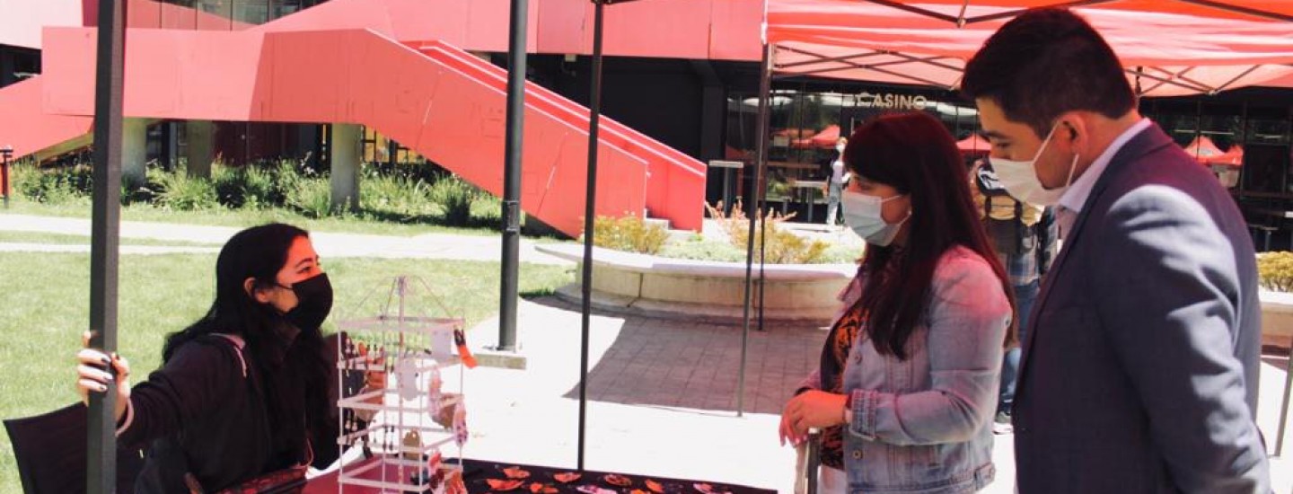 VISITA_DIRECTORA_A_ARAUCANIA