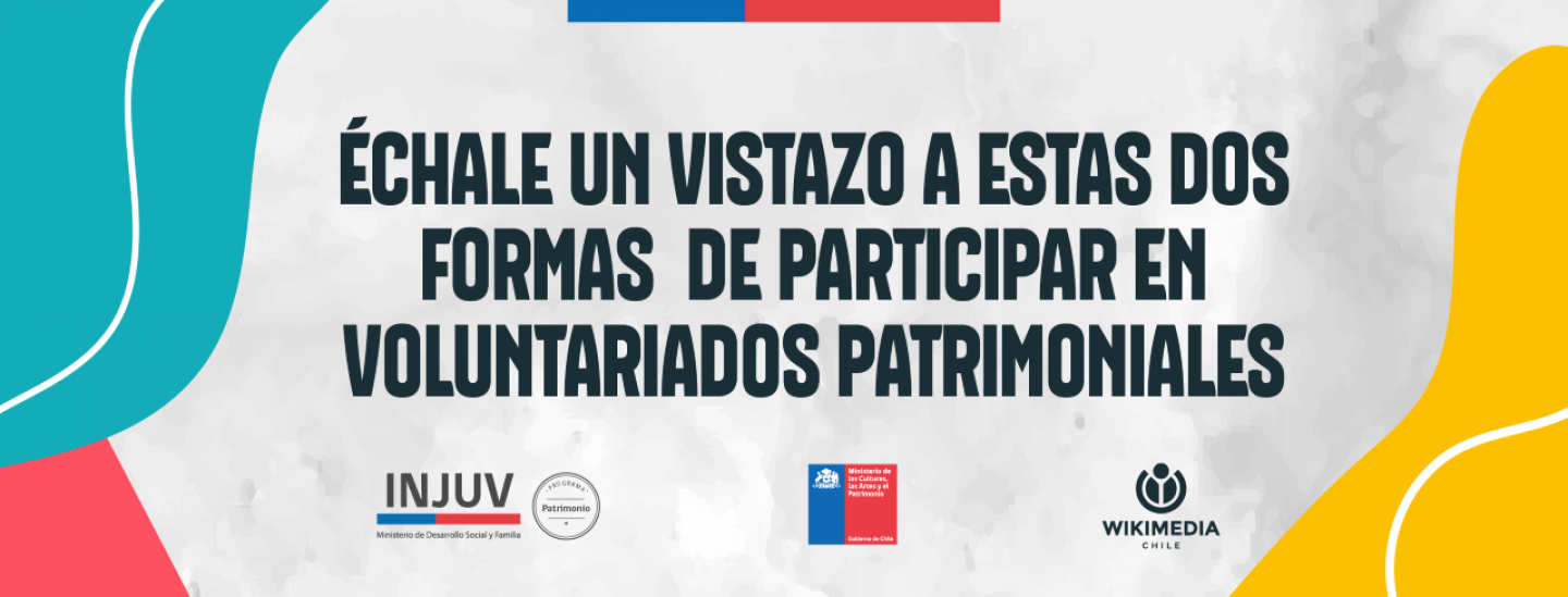 VOLUNTARIADO_PATRIMONIAL