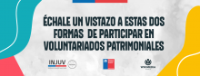 VOLUNTARIADO_PATRIMONIAL